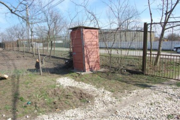 Femeia din Ostrov, care şi-a aruncat pruncul în hazna, condamnată la 17 ani de închisoare